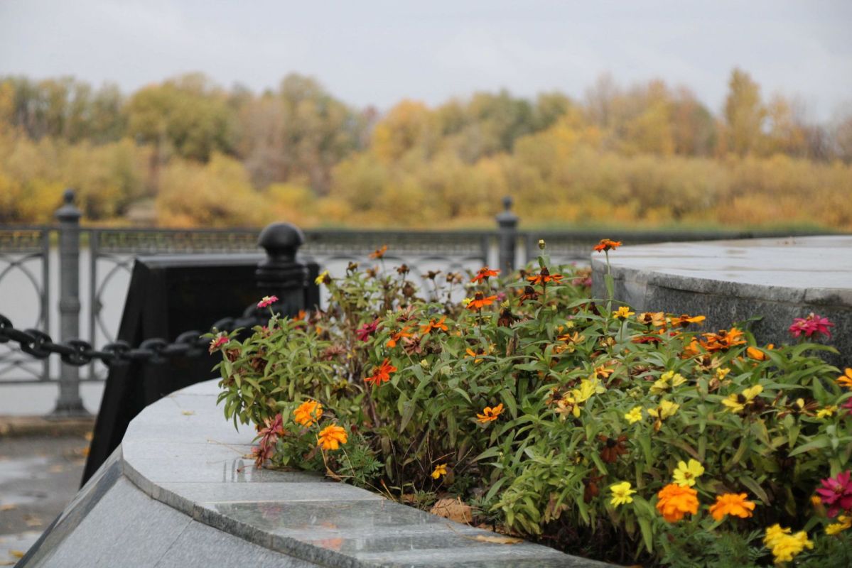 КаспийИнфо. Новости Астрахани и региона