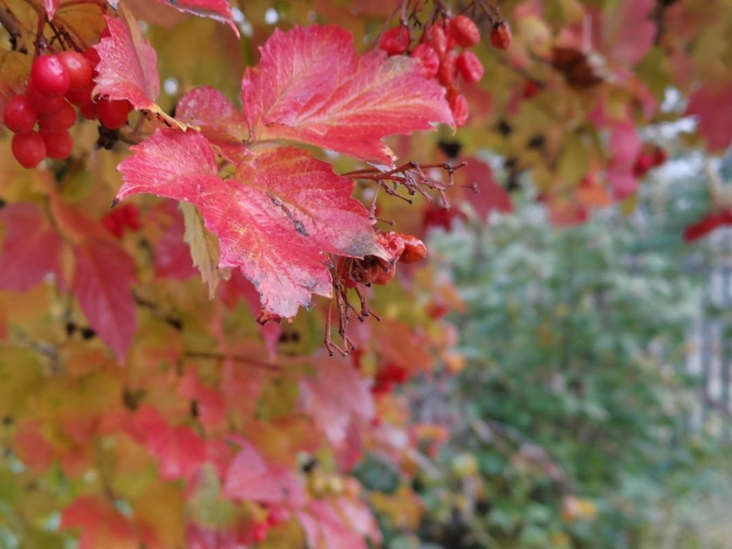 КаспийИнфо. Новости Астрахани и региона