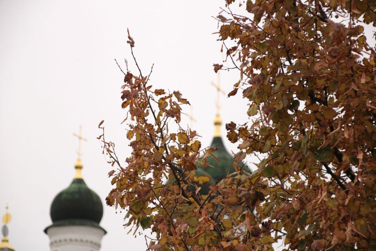 КаспийИнфо. Новости Астрахани и региона