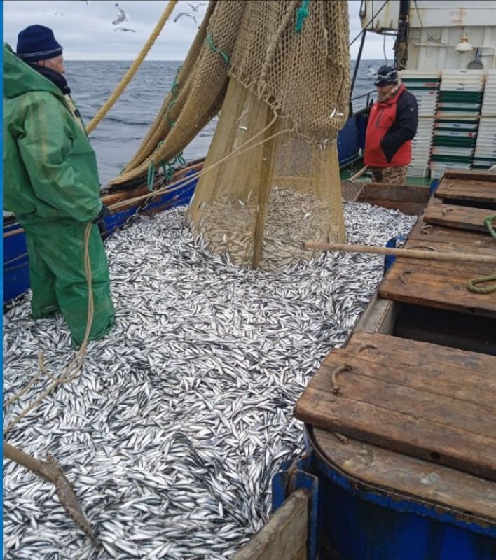 КаспийИнфо. Новости Астрахани и региона