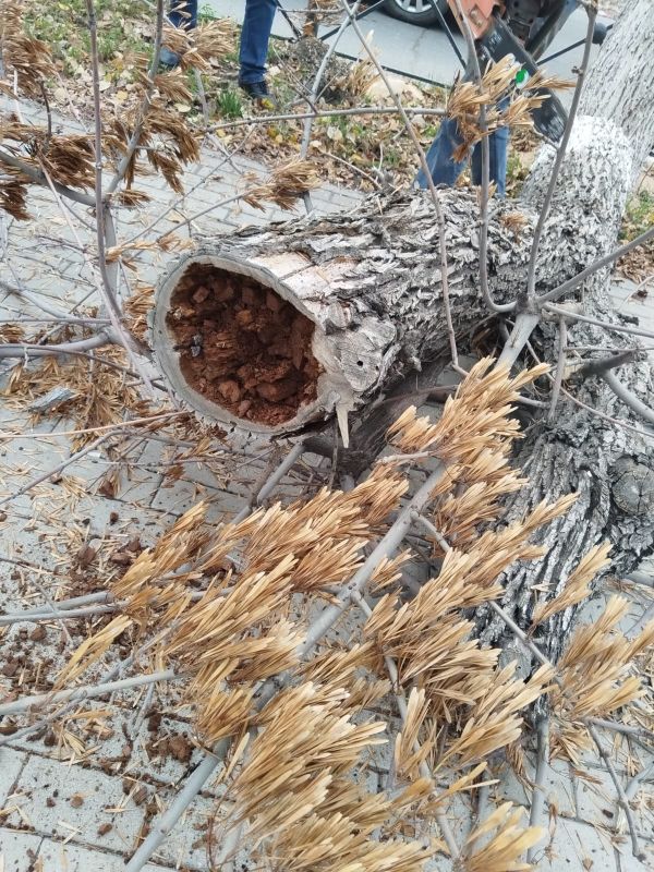 КаспийИнфо. Новости Астрахани и региона