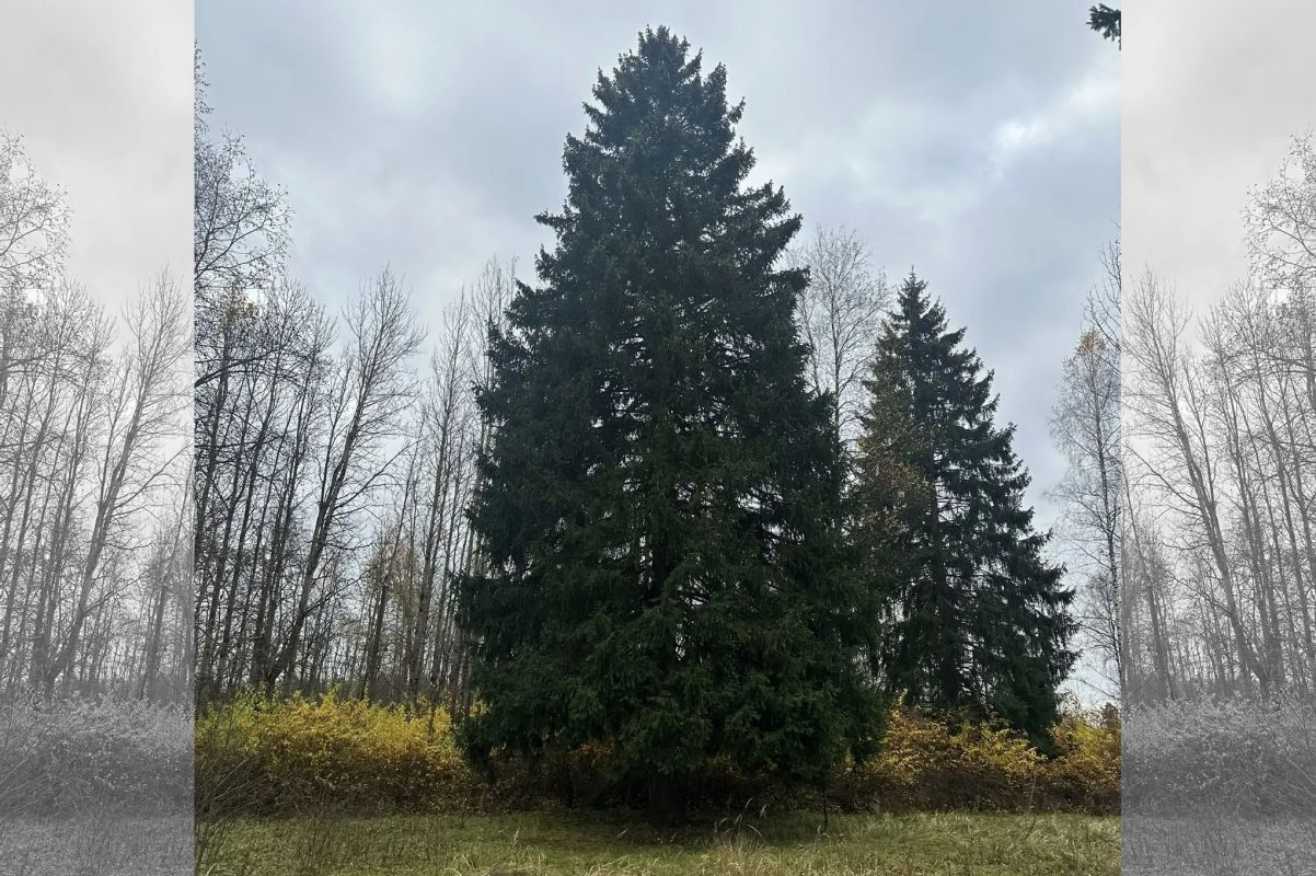 КаспийИнфо. Новости Астрахани и региона