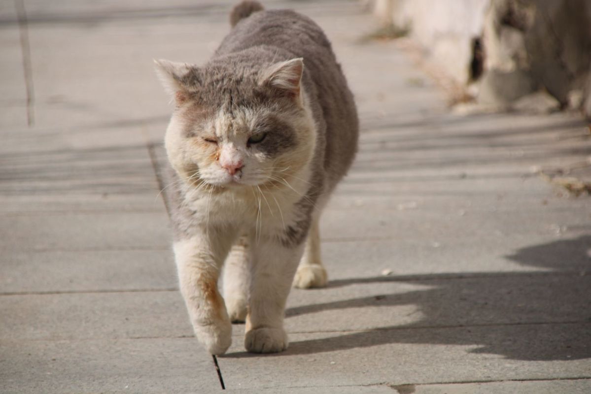 КаспийИнфо. Новости Астрахани и региона