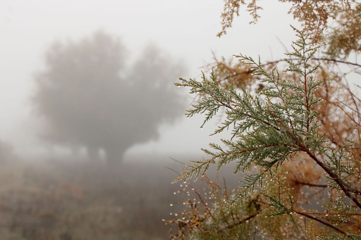 КаспийИнфо. Новости Астрахани и региона