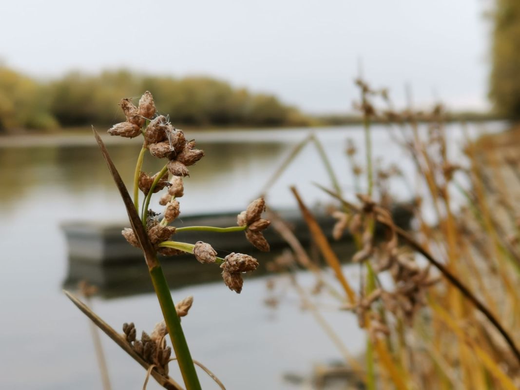 КаспийИнфо. Новости Астрахани и региона
