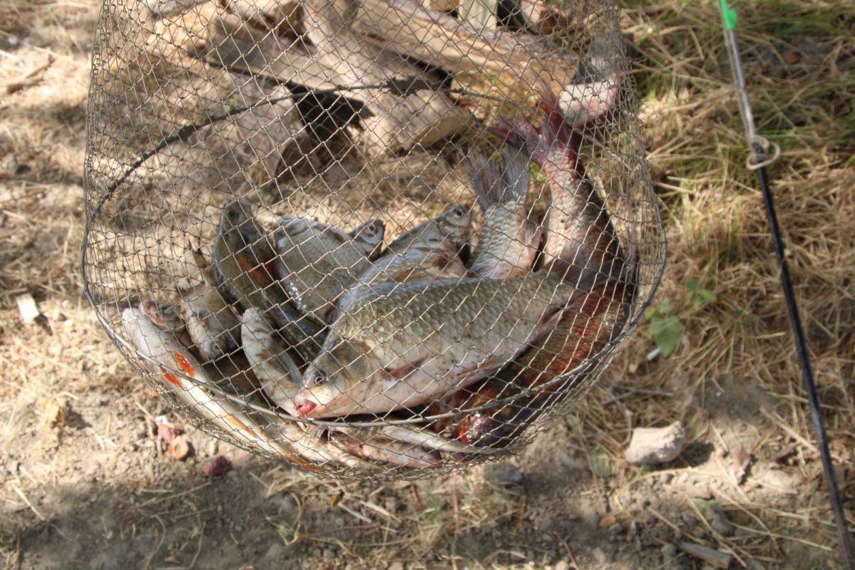 КаспийИнфо. Новости Астрахани и региона