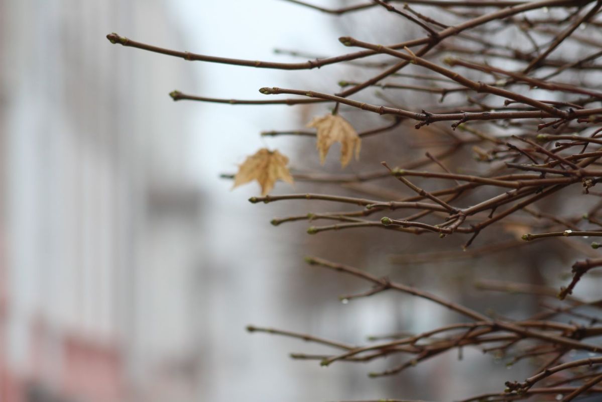 КаспийИнфо. Новости Астрахани и региона