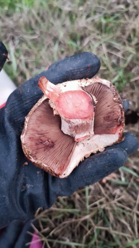 КаспийИнфо. Новости Астрахани и региона