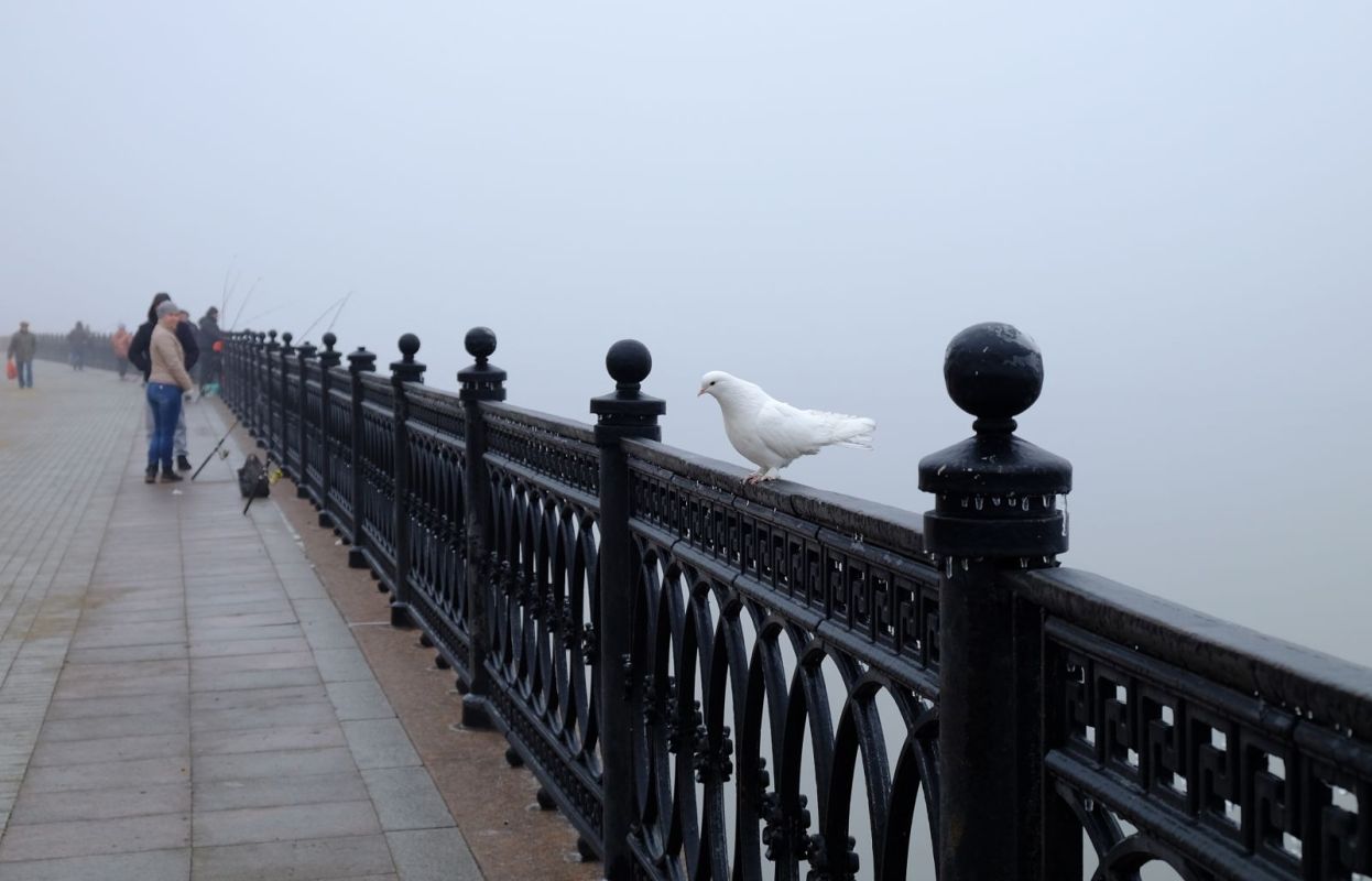 КаспийИнфо. Новости Астрахани и региона