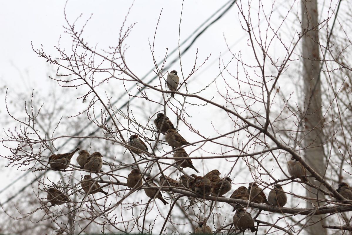 КаспийИнфо. Новости Астрахани и региона