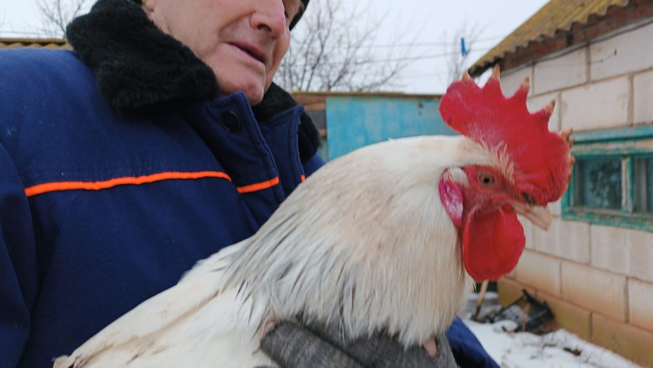 КаспийИнфо. Новости Астрахани и региона