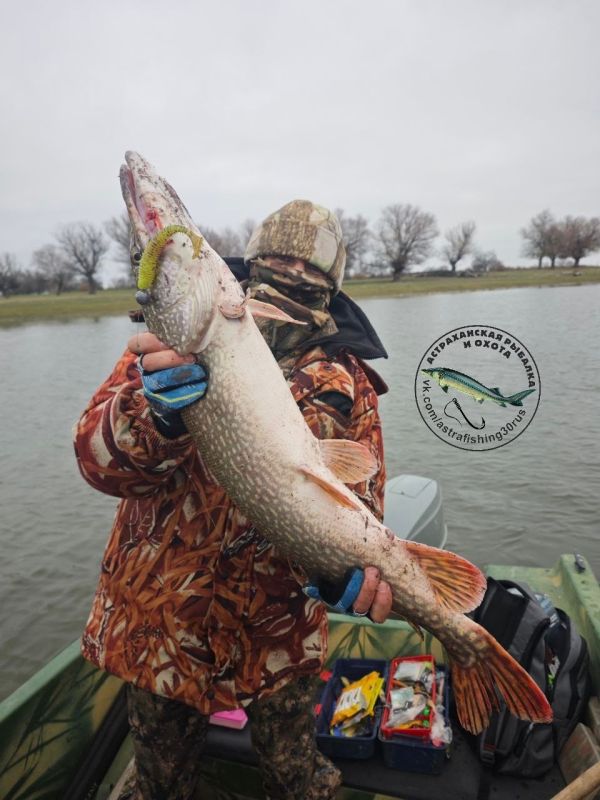 КаспийИнфо. Новости Астрахани и региона