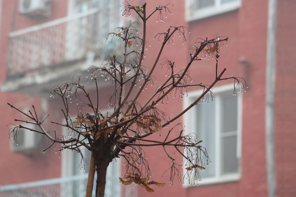 КаспийИнфо. Новости Астрахани и региона