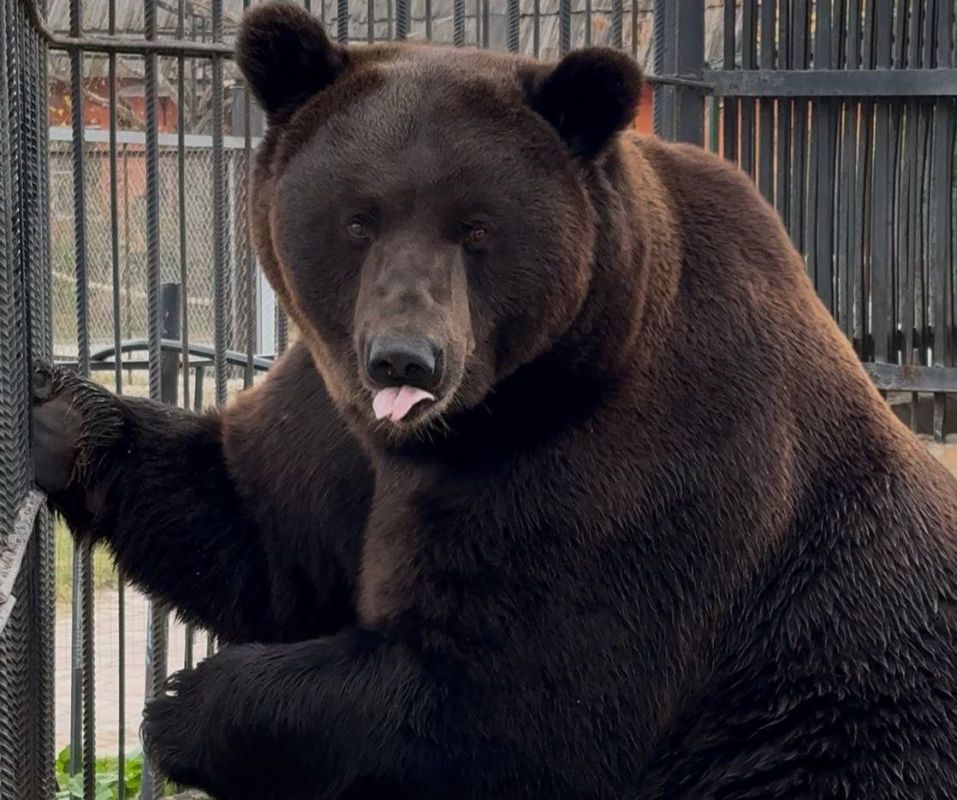 КаспийИнфо. Новости Астрахани и региона