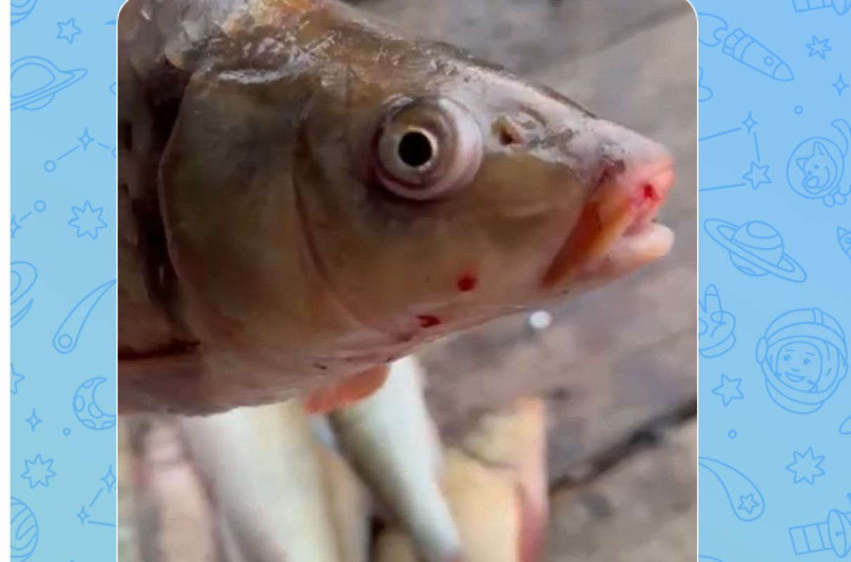 КаспийИнфо. Новости Астрахани и региона