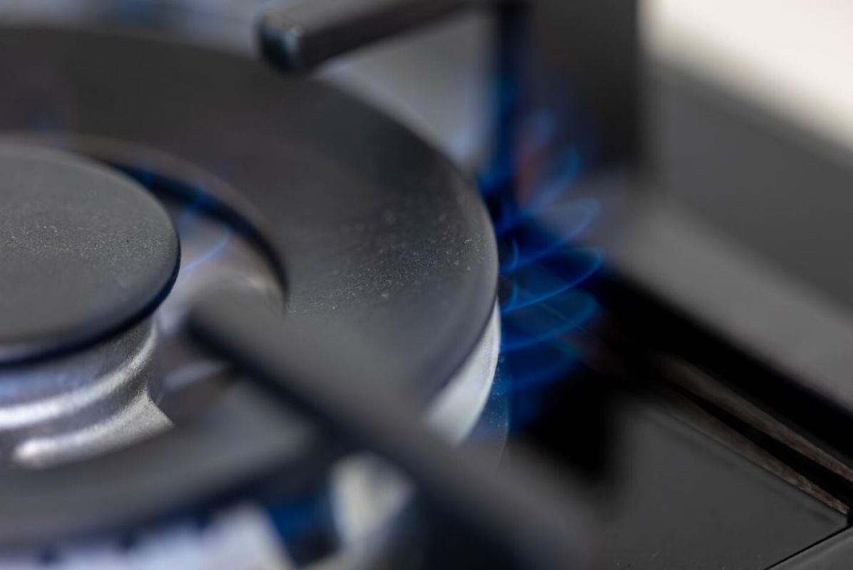 Фото © freepik.com