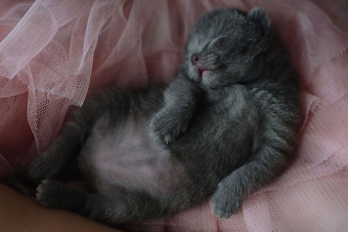 КаспийИнфо. Новости Астрахани и региона