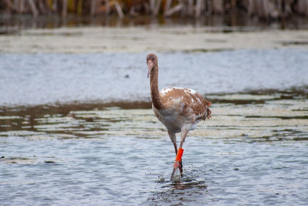 КаспийИнфо. Новости Астрахани и региона