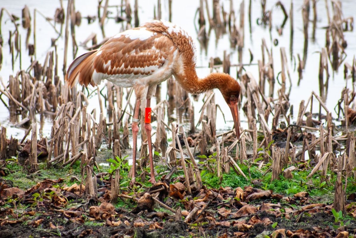 КаспийИнфо. Новости Астрахани и региона