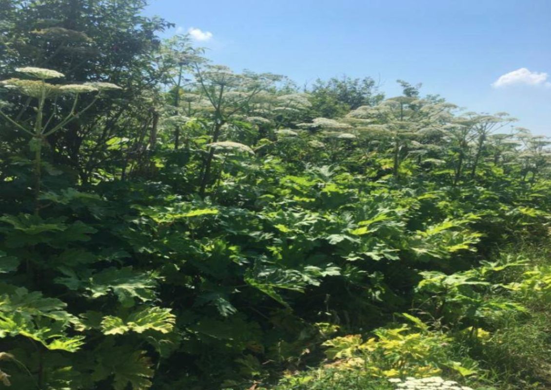 КаспийИнфо. Новости Астрахани и региона