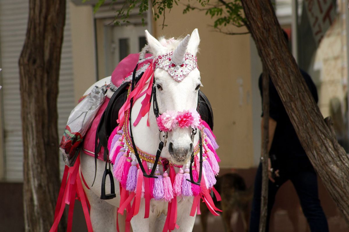 КаспийИнфо. Новости Астрахани и региона