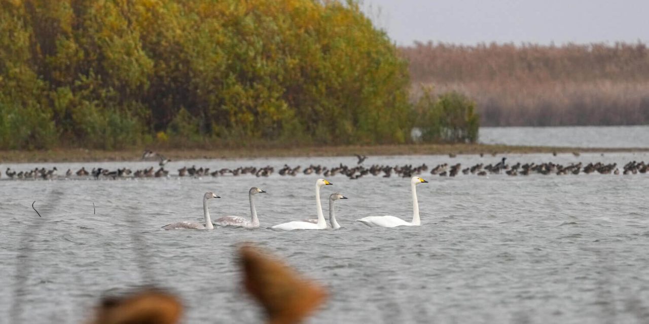 КаспийИнфо. Новости Астрахани и региона
