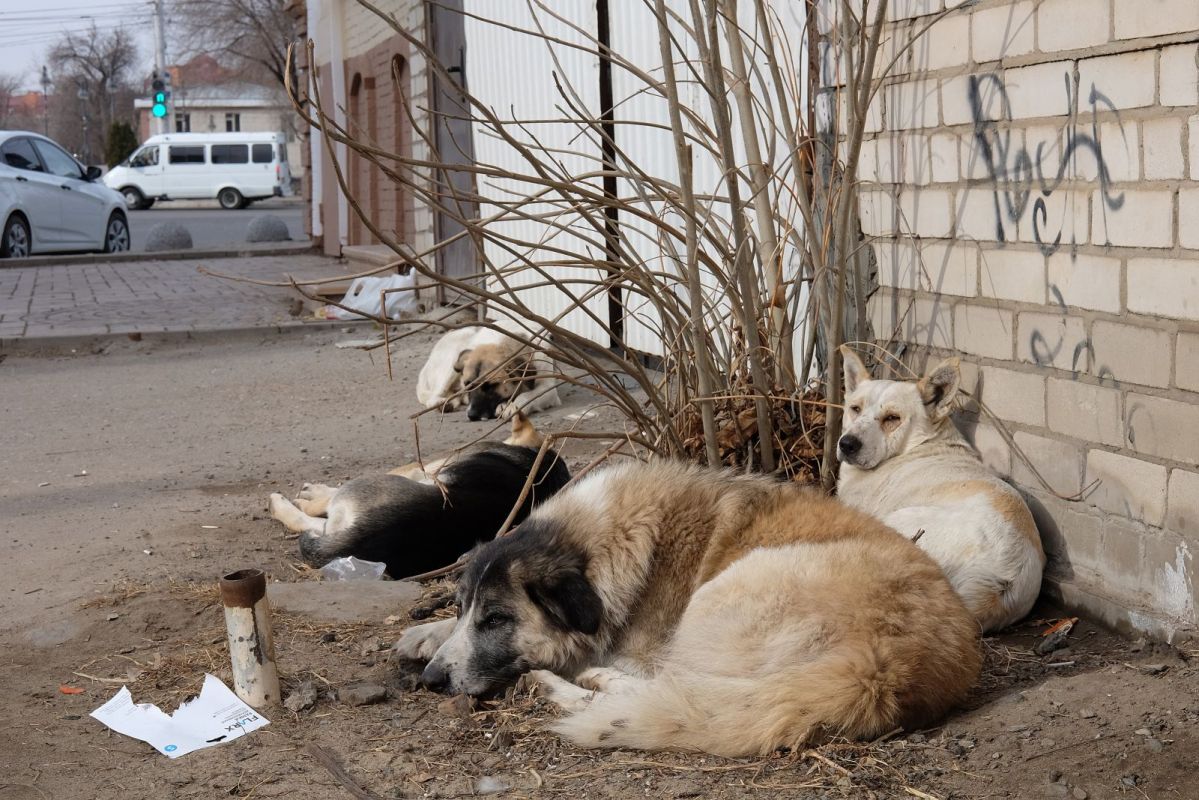 КаспийИнфо. Новости Астрахани и региона