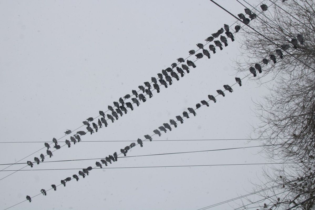 КаспийИнфо. Новости Астрахани и региона