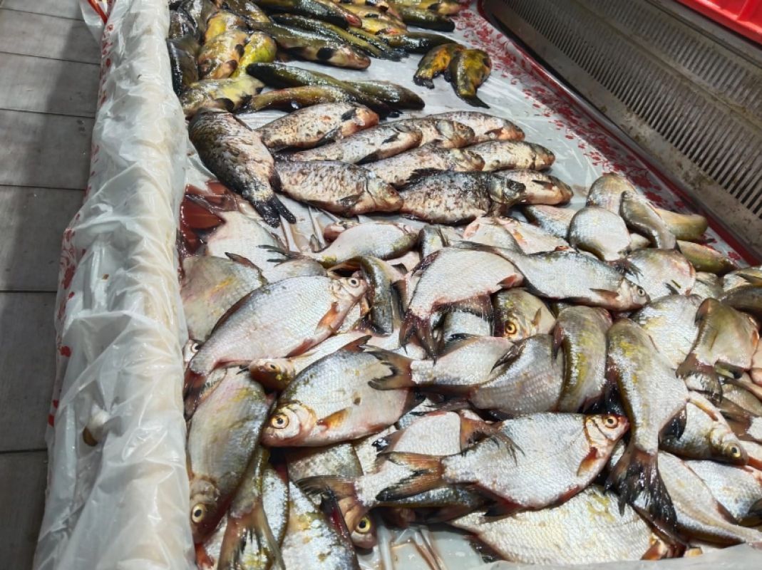 КаспийИнфо. Новости Астрахани и региона