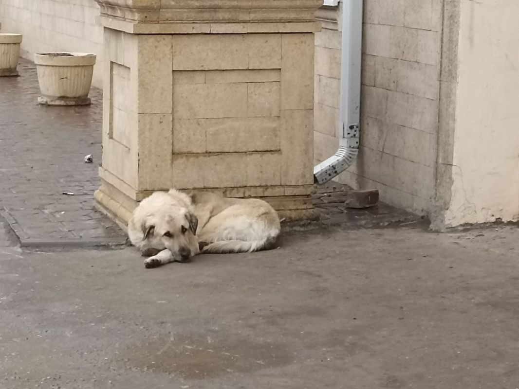 КаспийИнфо. Новости Астрахани и региона