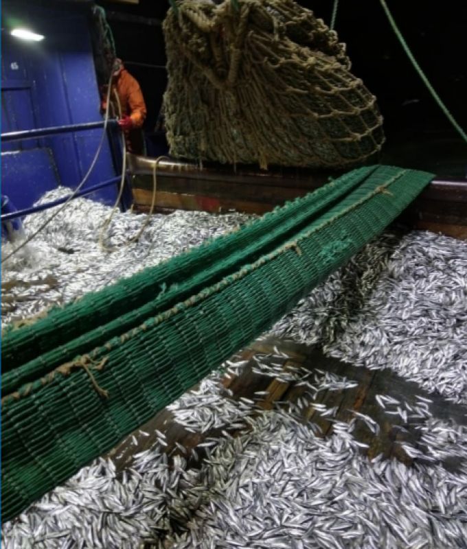 КаспийИнфо. Новости Астрахани и региона