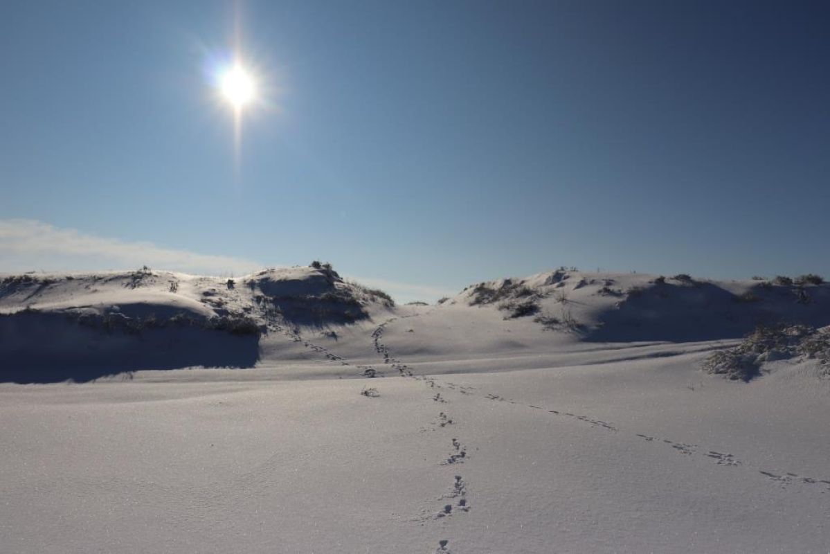 КаспийИнфо. Новости Астрахани и региона