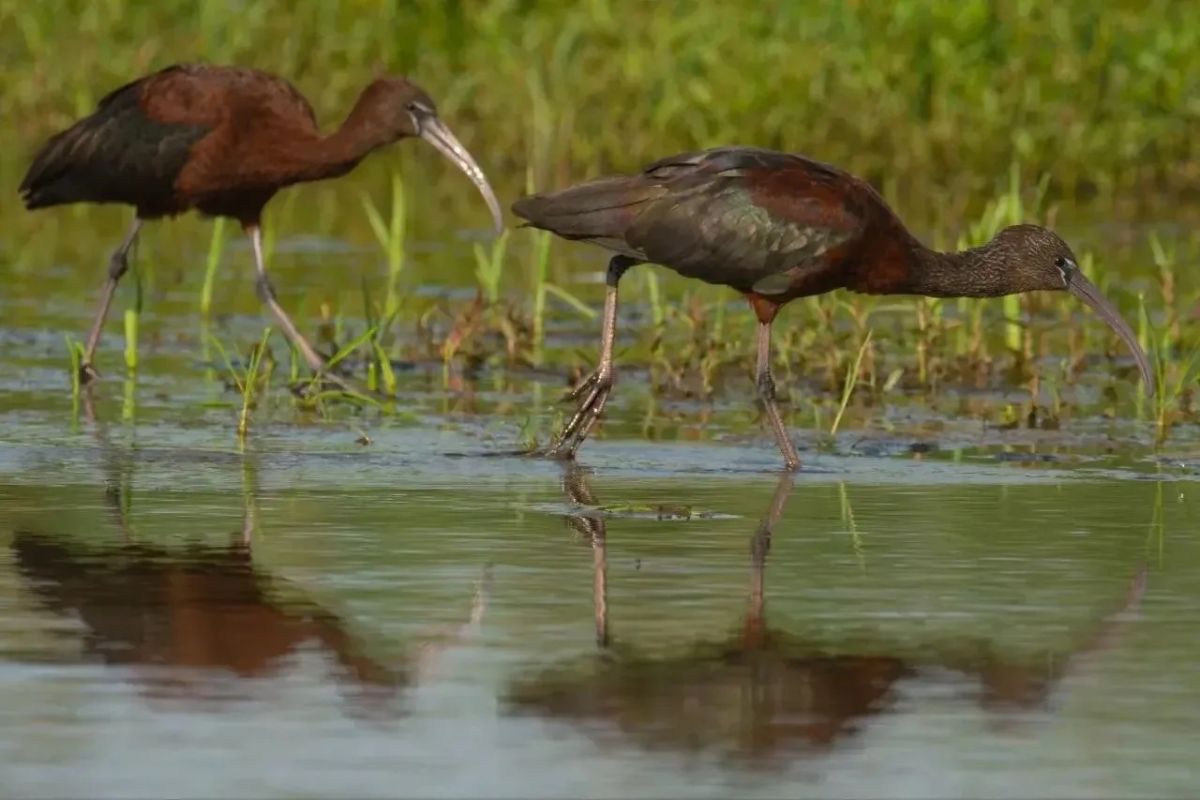 КаспийИнфо. Новости Астрахани и региона