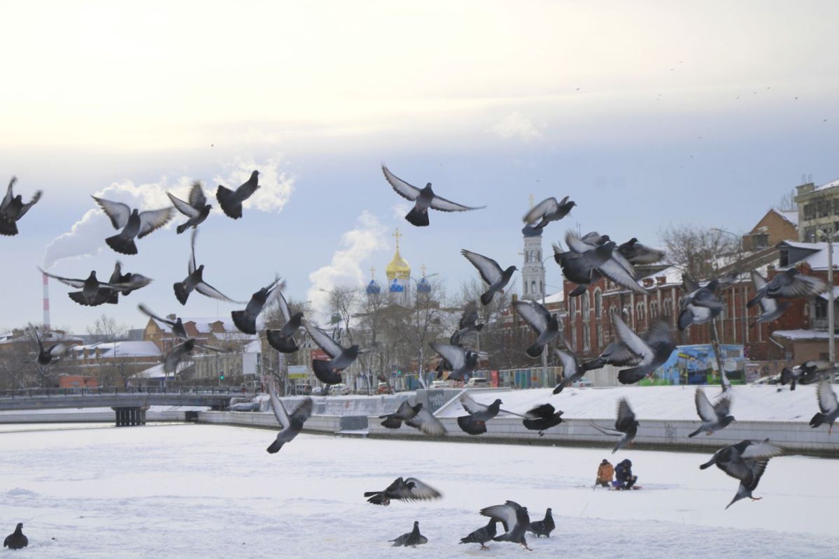 КаспийИнфо. Новости Астрахани и региона