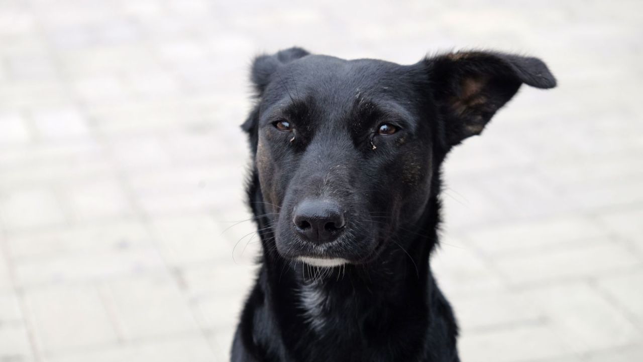 КаспийИнфо. Новости Астрахани и региона