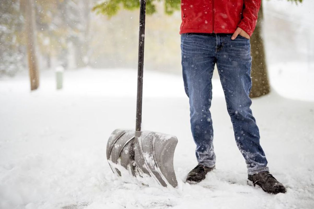 Фото © freepik.com