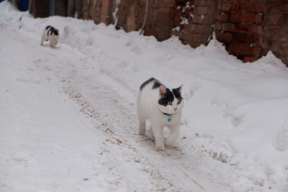 КаспийИнфо. Новости Астрахани и региона