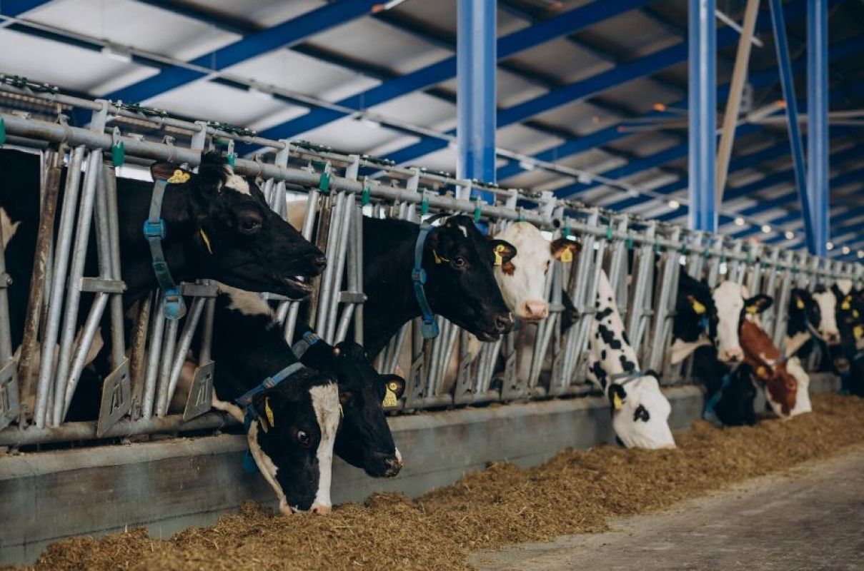 Фото © freepik.com