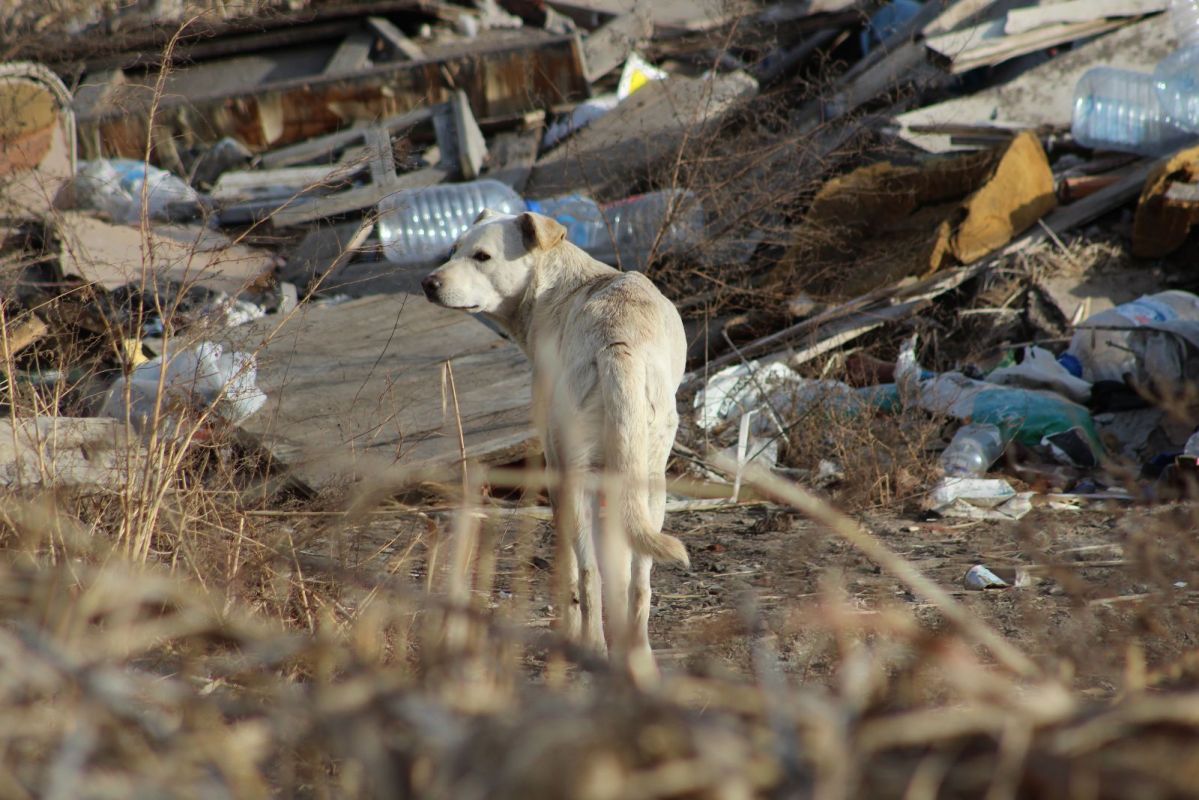 КаспийИнфо. Новости Астрахани и региона