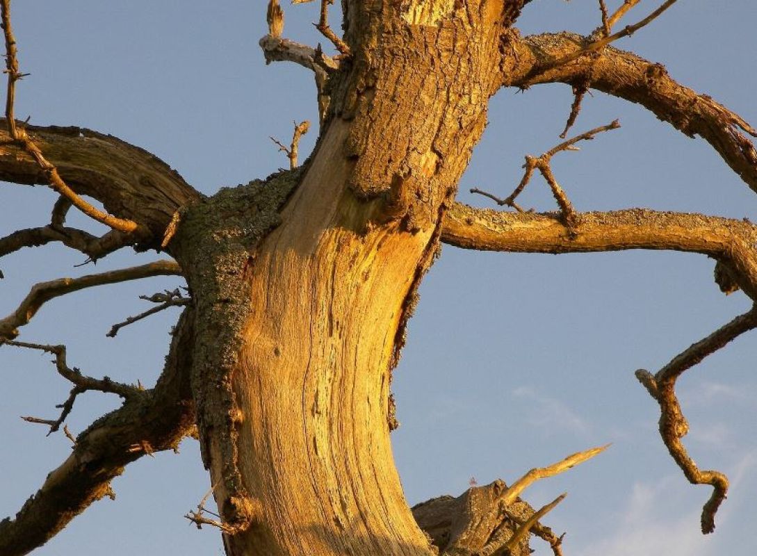 Фото © freepik.com