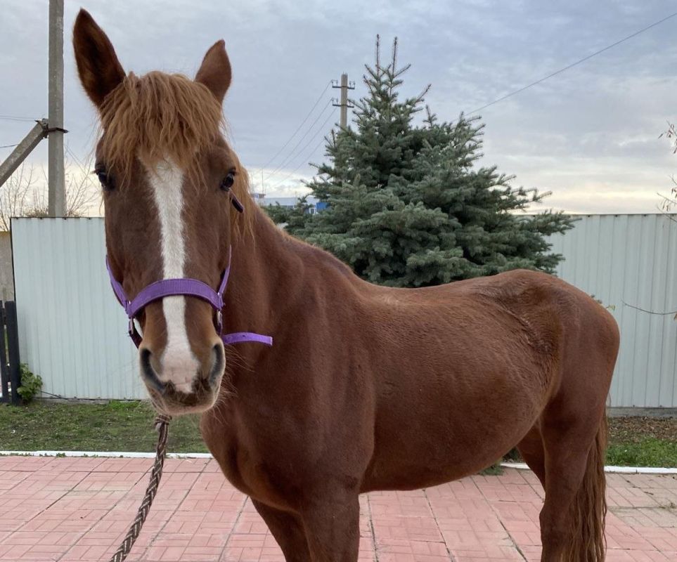 КаспийИнфо. Новости Астрахани и региона