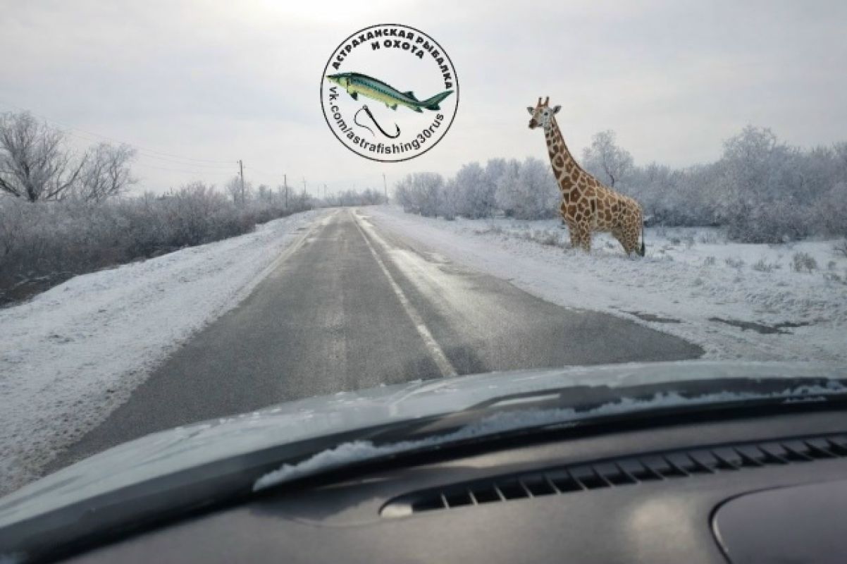 КаспийИнфо. Новости Астрахани и региона