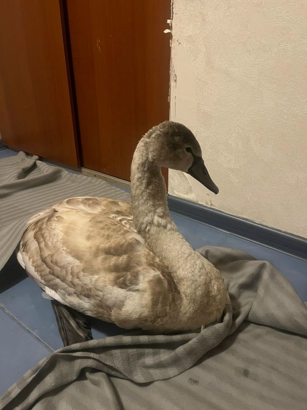 КаспийИнфо. Новости Астрахани и региона