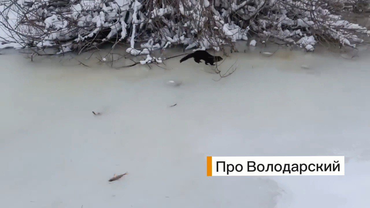 КаспийИнфо. Новости Астрахани и региона