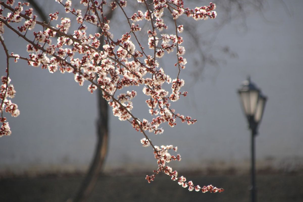 КаспийИнфо. Новости Астрахани и региона