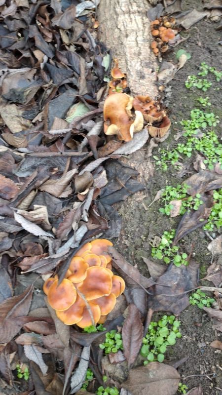 КаспийИнфо. Новости Астрахани и региона