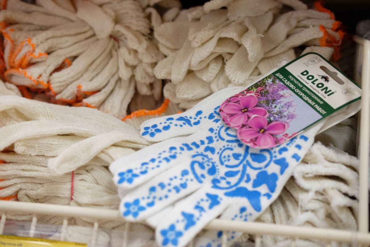 КаспийИнфо. Новости Астрахани и региона