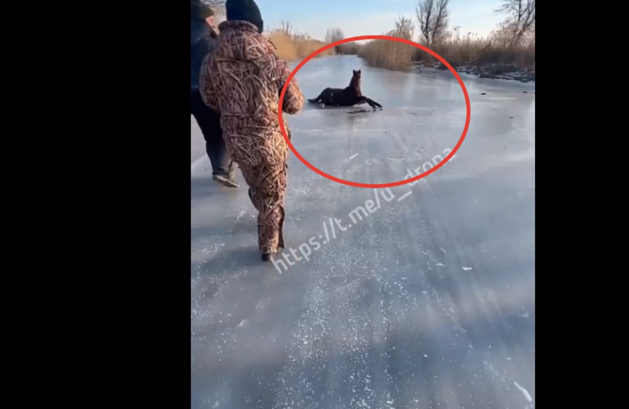 КаспийИнфо. Новости Астрахани и региона