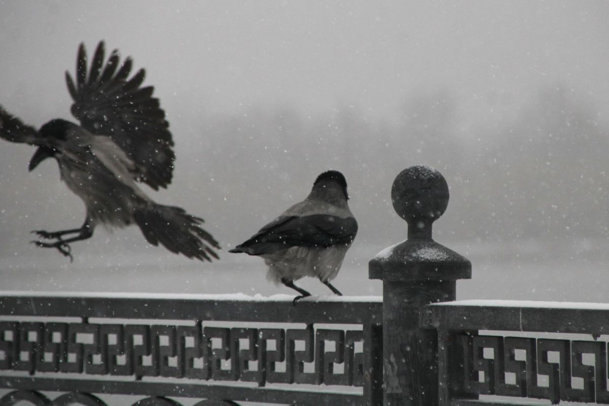КаспийИнфо. Новости Астрахани и региона