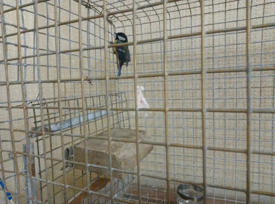 КаспийИнфо. Новости Астрахани и региона